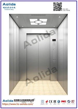 Augstas kvalitātes matu līnija nerūsējošā tērauda 304 pasažieru lifts